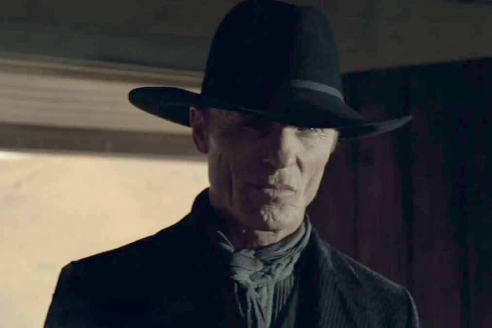 Ed Harris Westworld