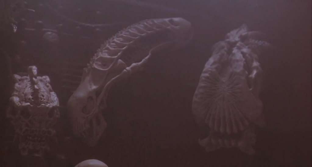predator 2 alien skull