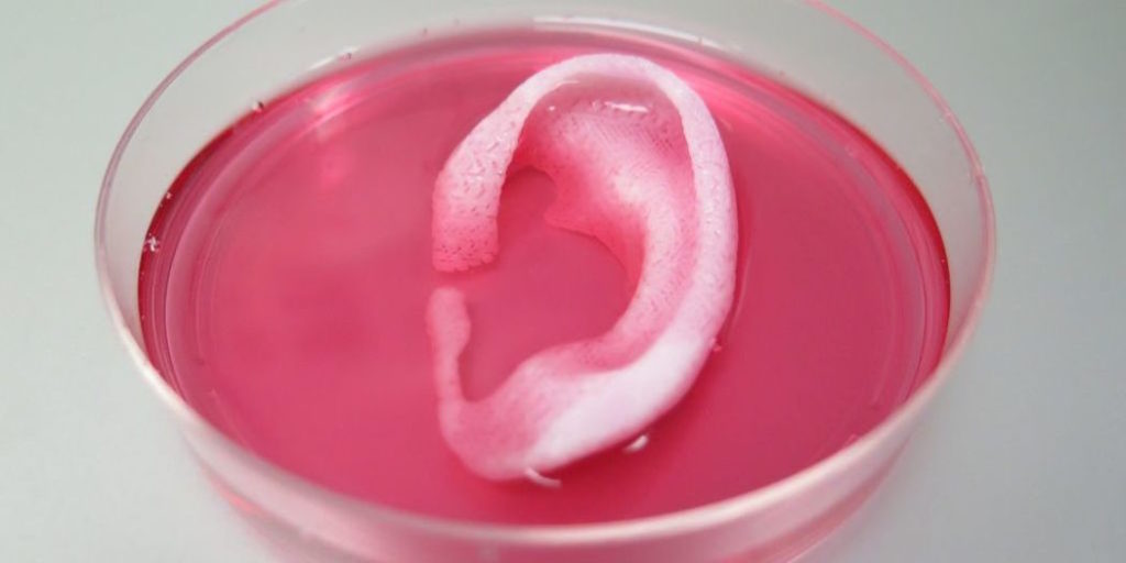 bio-3d-printing