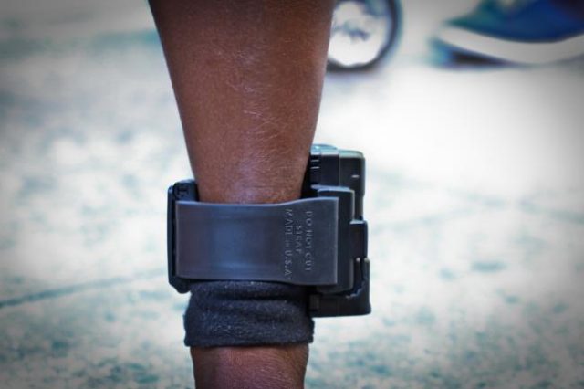 ankle