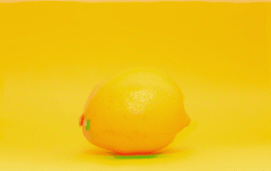 lemon.header