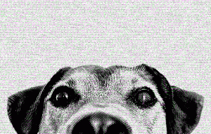 Dog Eat Gig