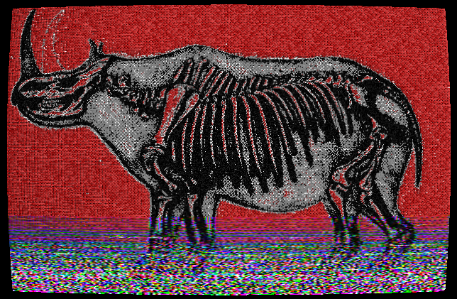 Polar shift