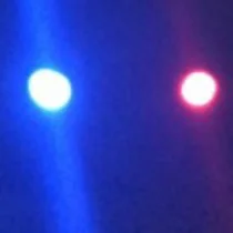 Profile picture of H.I (Human Intelligence)